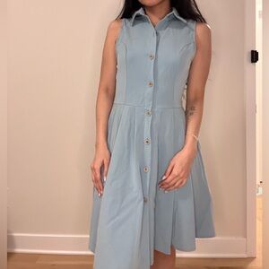 Vintage Sleeveless Blue Button-Down Dress
